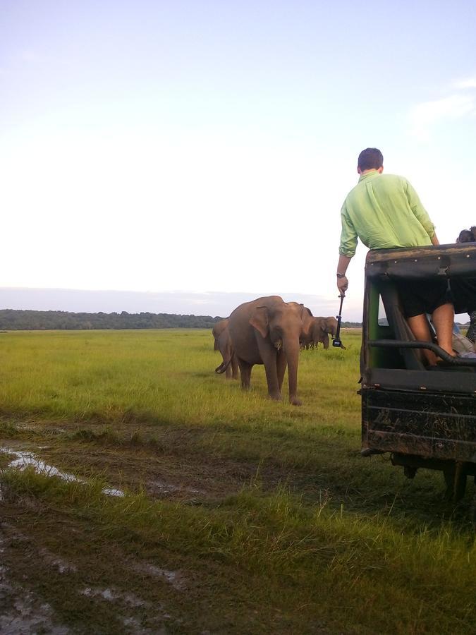 Sigiriya Nature Villa Lodge 外观 照片