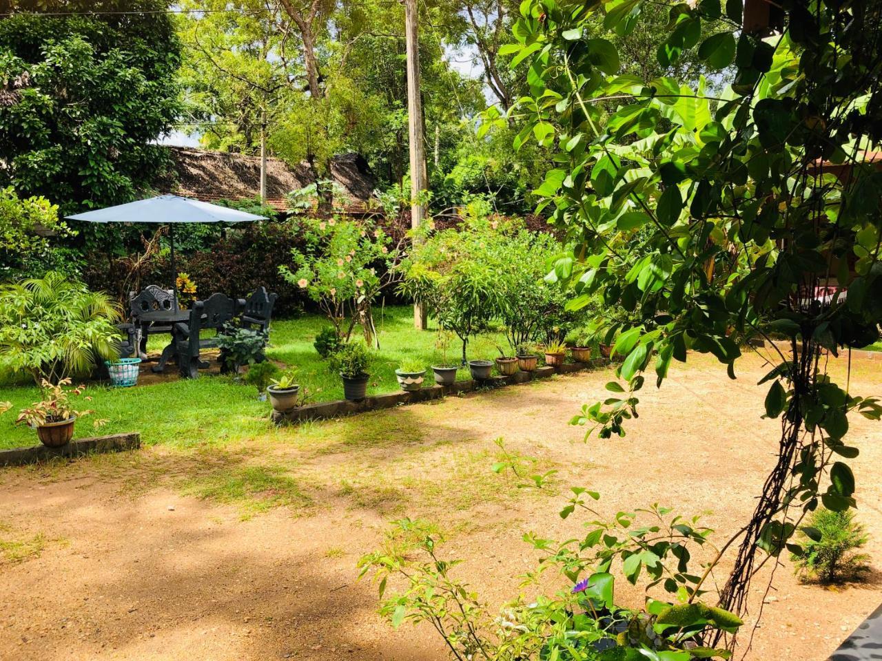 Sigiriya Nature Villa Lodge 外观 照片