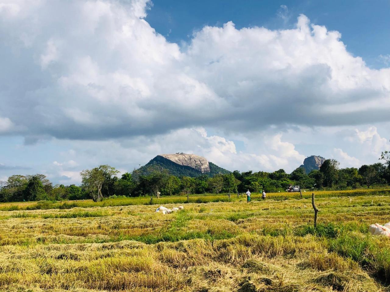 Sigiriya Nature Villa Lodge 外观 照片